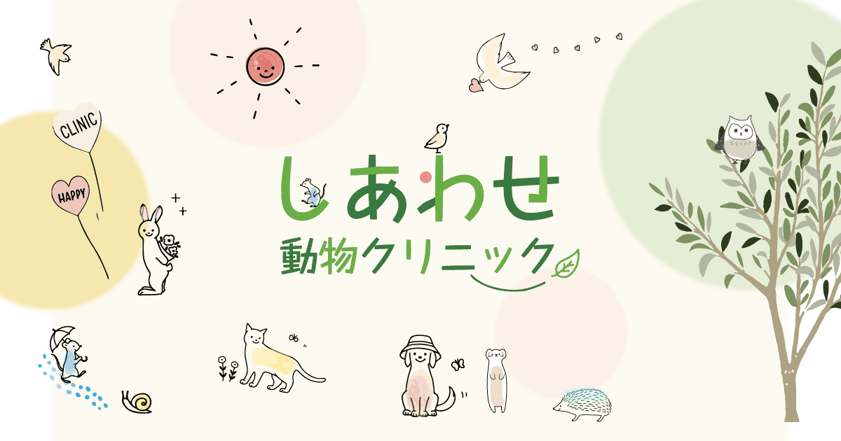 エキゾチックアニマルの診療 | しあわせ動物クリニック