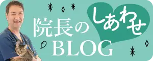 院長のしあわせブログへリンク