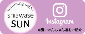 インスタshiawase_sunへリンク